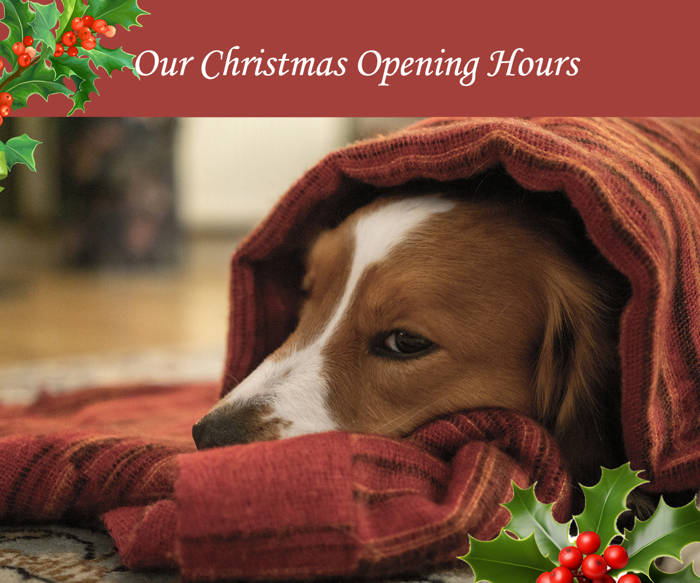 We're Here When You Need Us